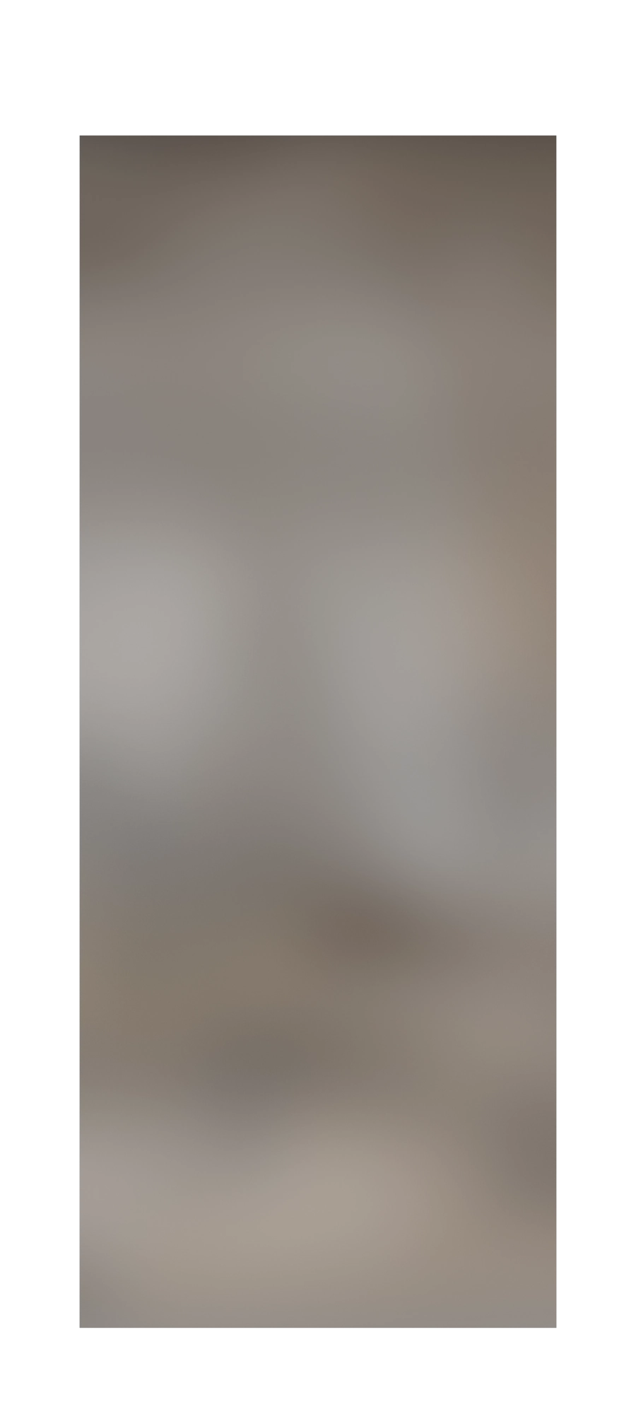 стекло Дверь Rocco 02 ncs_1515b